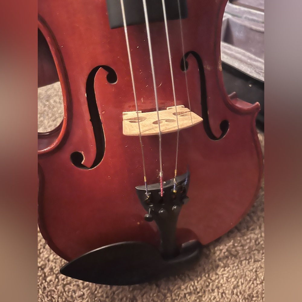 Violin
